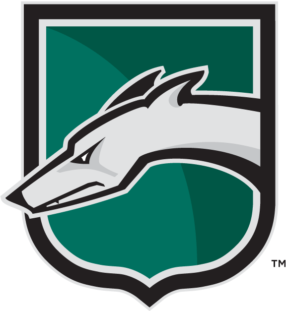 Loyola-Maryland Greyhounds 2002-Pres Alternate Logo v2 diy fabric transfer